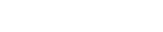 自家製ソース