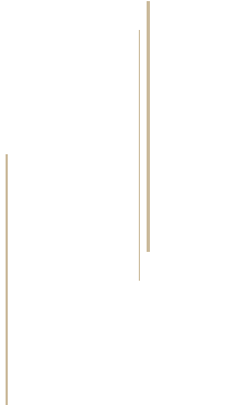 京串かつを〝おまかせ〟で